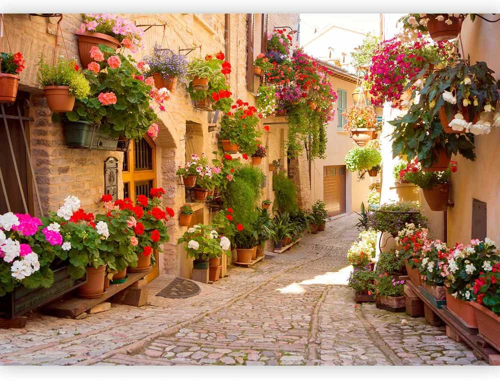 Artgeist Fototapetas - The Alley in Spello (Italy)