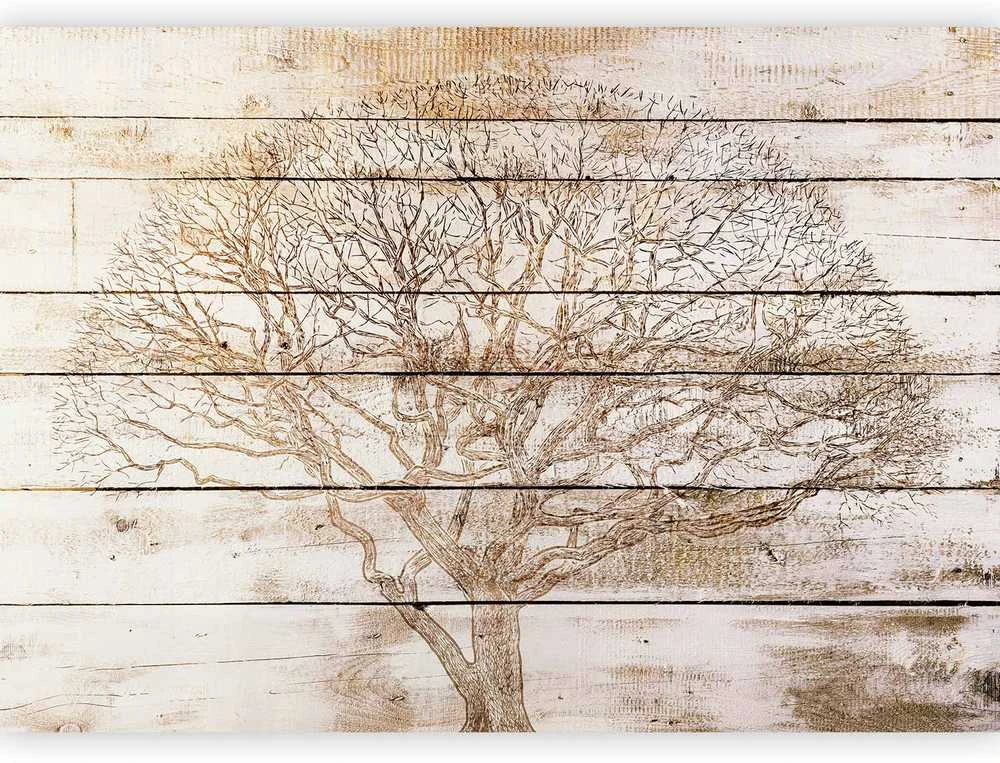 Artgeist Fototapetas - Tree on Boards