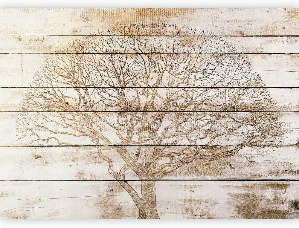 Artgeist Fototapetas - Tree on Boards