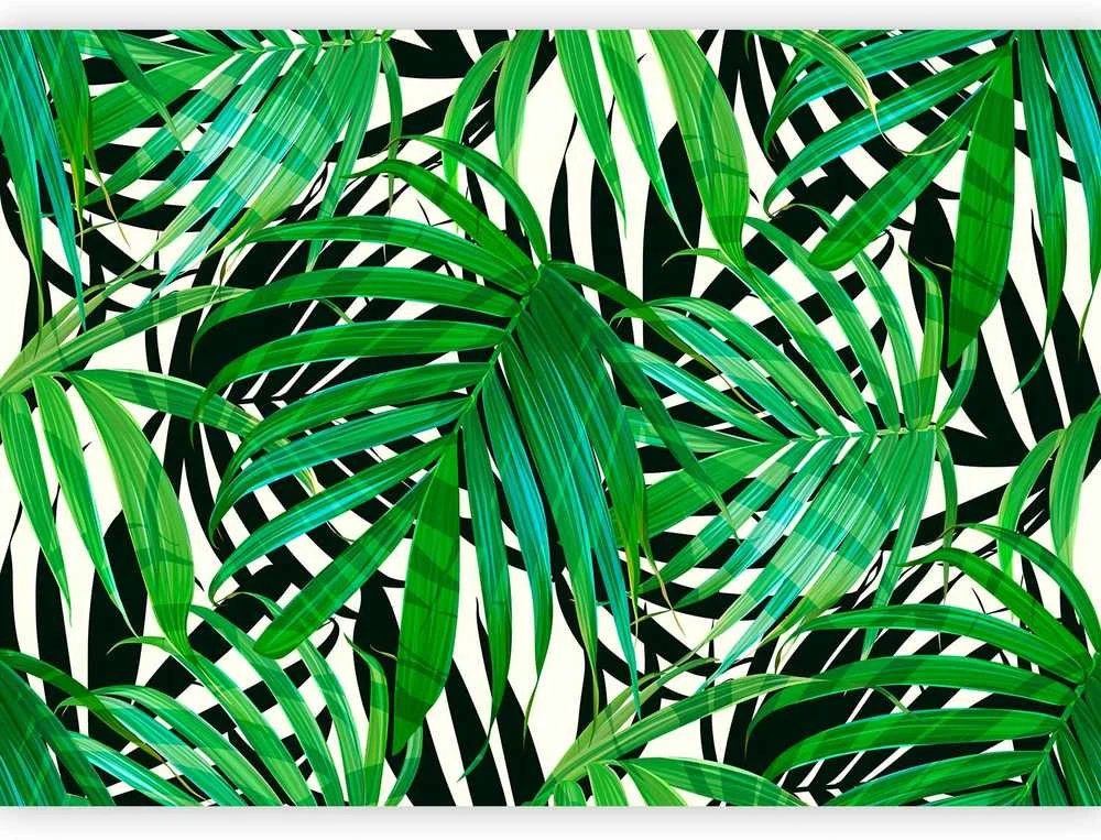 Artgeist Fototapetas - Tropical Leaves