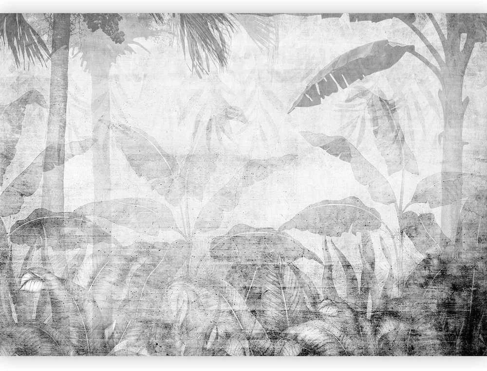 Artgeist Fototapetas - Vanishing jungle - landscape of exotic trees and leaves in pilkas tones
