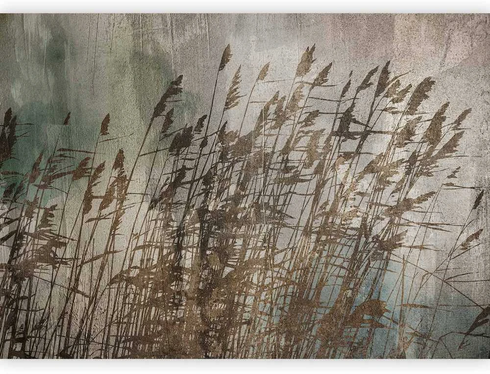 Artgeist Fototapetas - Water Grasses