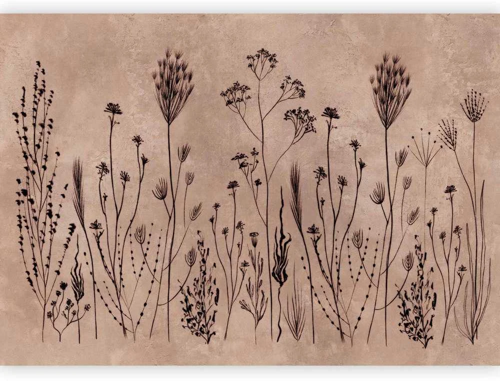 Artgeist Fototapetas - Wildflowers – juodas plants on lime-wash background