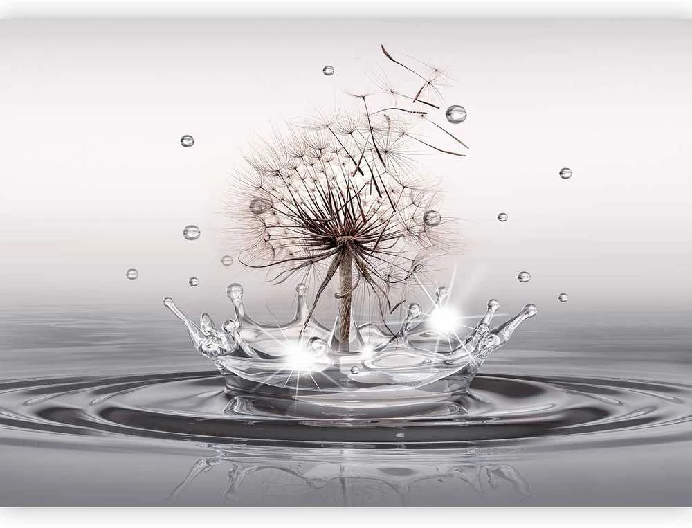 Artgeist Fototapetas - Wind Drops