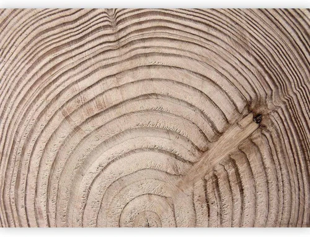 Artgeist Fototapetas - Wood grain