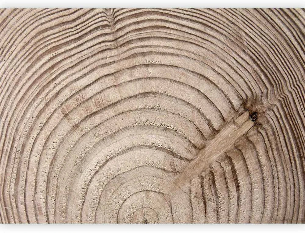 Artgeist Fototapetas - Wood grain