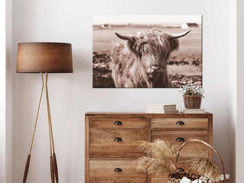 Artgeist Paveikslas - A Scottish Cow in Sepia