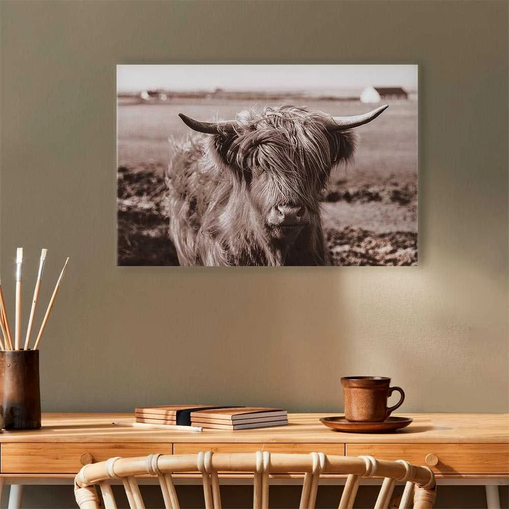 Artgeist Paveikslas - A Scottish Cow in Sepia
