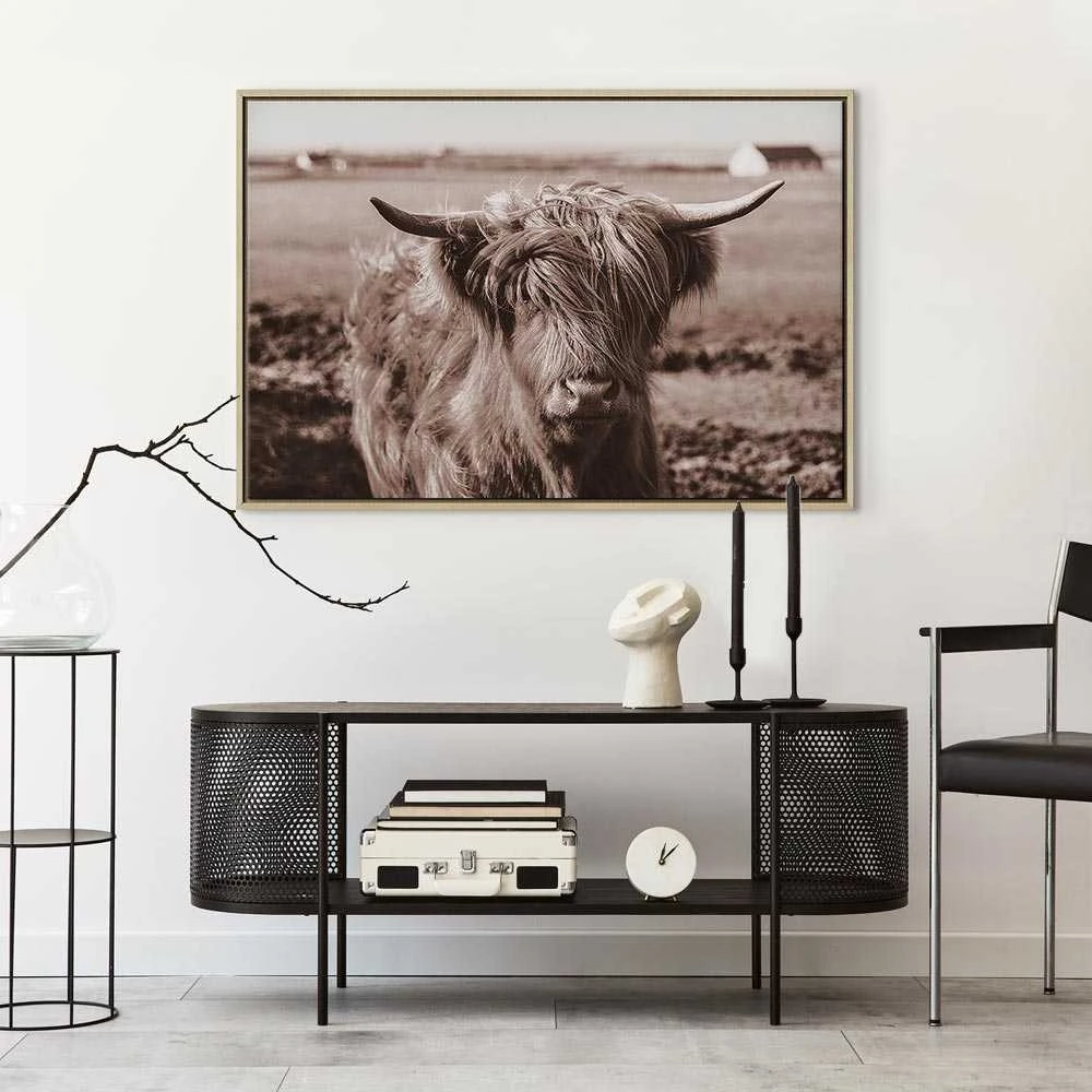 Artgeist Paveikslas - A Scottish Cow in Sepia