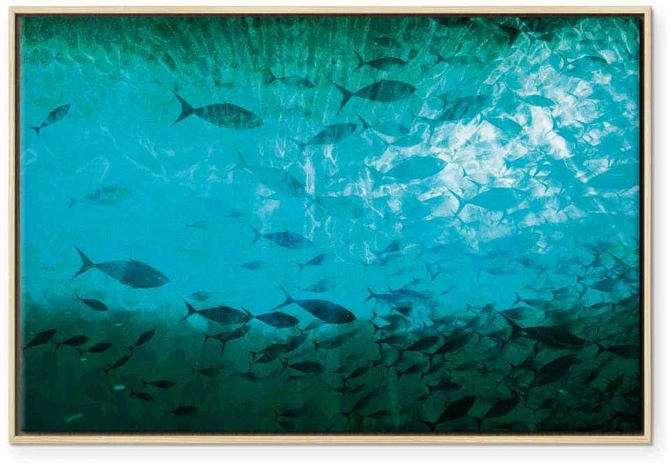 Artgeist Paveikslas - A shoal of dark fish