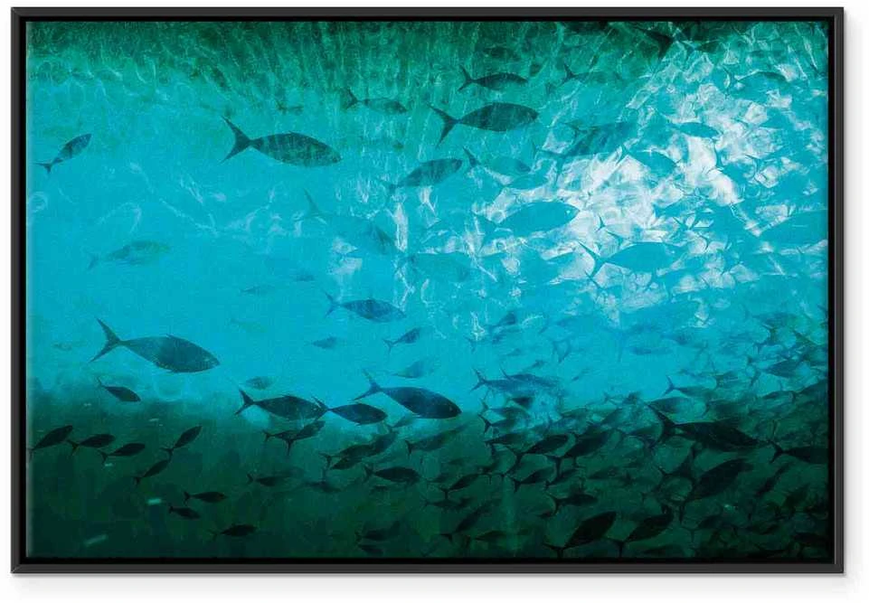 Artgeist Paveikslas - A shoal of dark fish