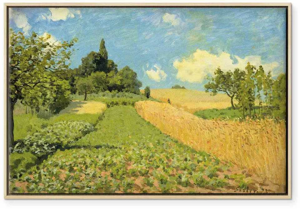 Artgeist Paveikslas - Alfred Sisley – Grain fields on the hills of Argenteuil