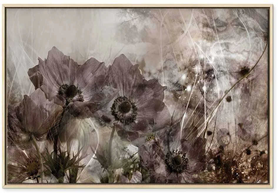 Artgeist Paveikslas - Anemones in Sepia (1 Part) Wide