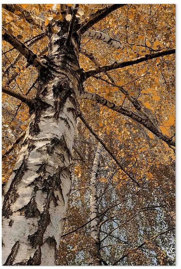 Artgeist Paveikslas - Autumn Colours (1 Part) Vertical