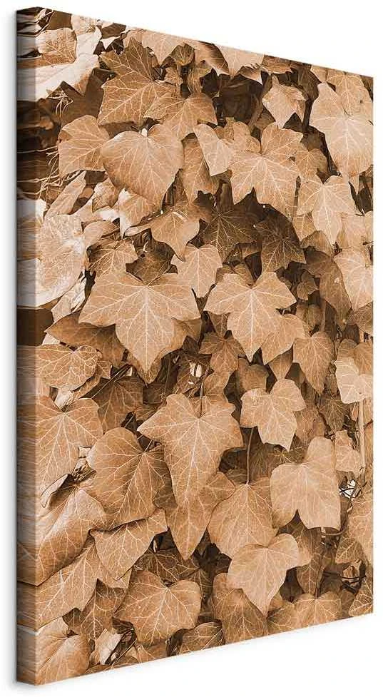Artgeist Paveikslas - Autumn Ivy (1 Part) Vertical