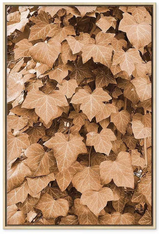 Artgeist Paveikslas - Autumn Ivy (1 Part) Vertical