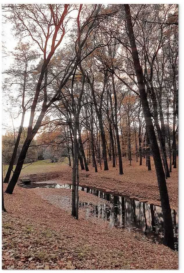 Artgeist Paveikslas - Autumn Walk (1 Part) Vertical