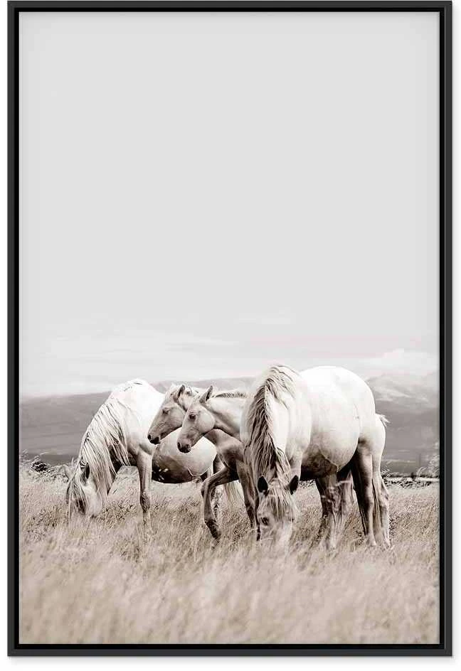 Artgeist Paveikslas - Baltas Horses (1 Part) Vertical