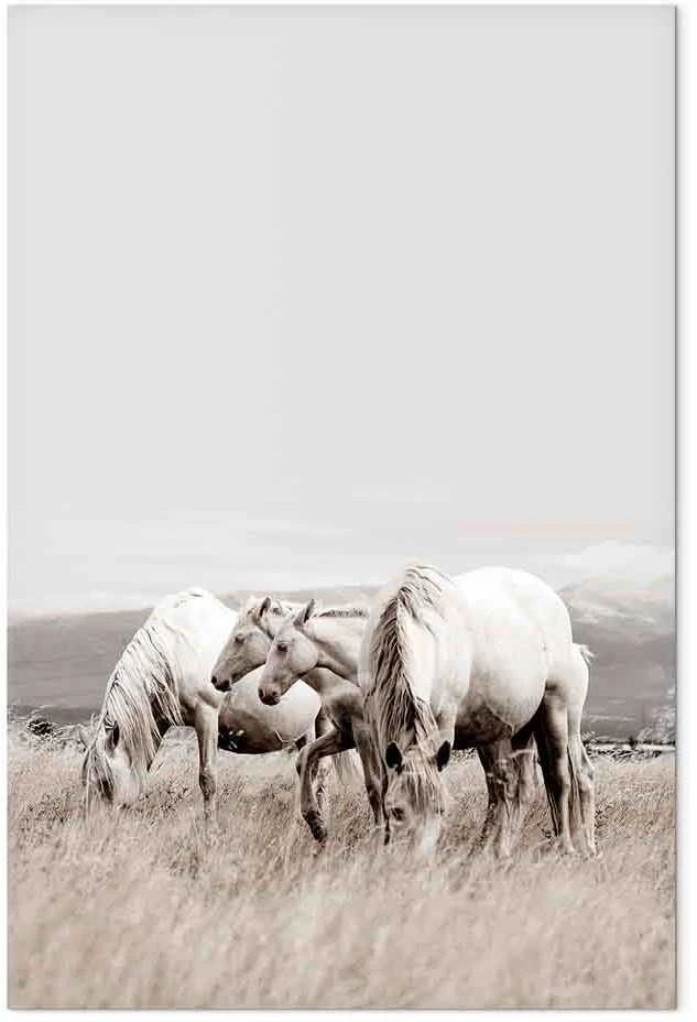 Artgeist Paveikslas - Baltas Horses (1 Part) Vertical