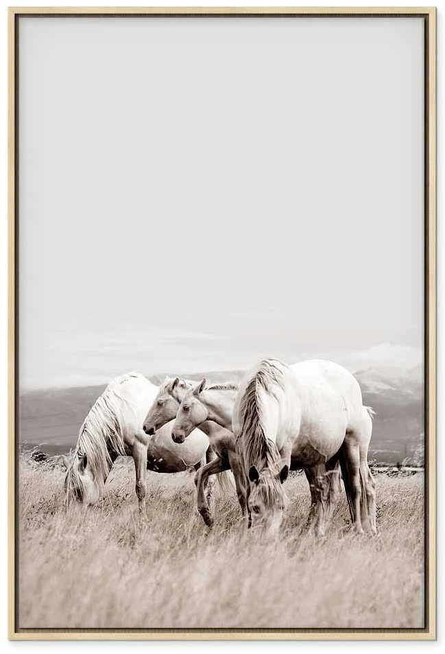Artgeist Paveikslas - Baltas Horses (1 Part) Vertical