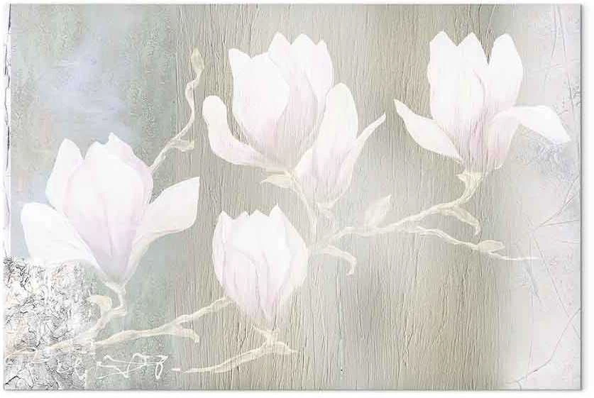 Artgeist Paveikslas - Baltas Magnolias (1 Part) Wide