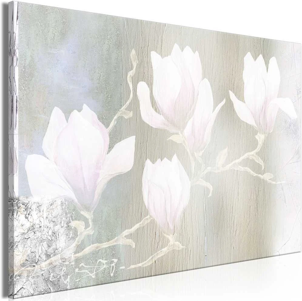 Artgeist Paveikslas - Baltas Magnolias (1 Part) Wide