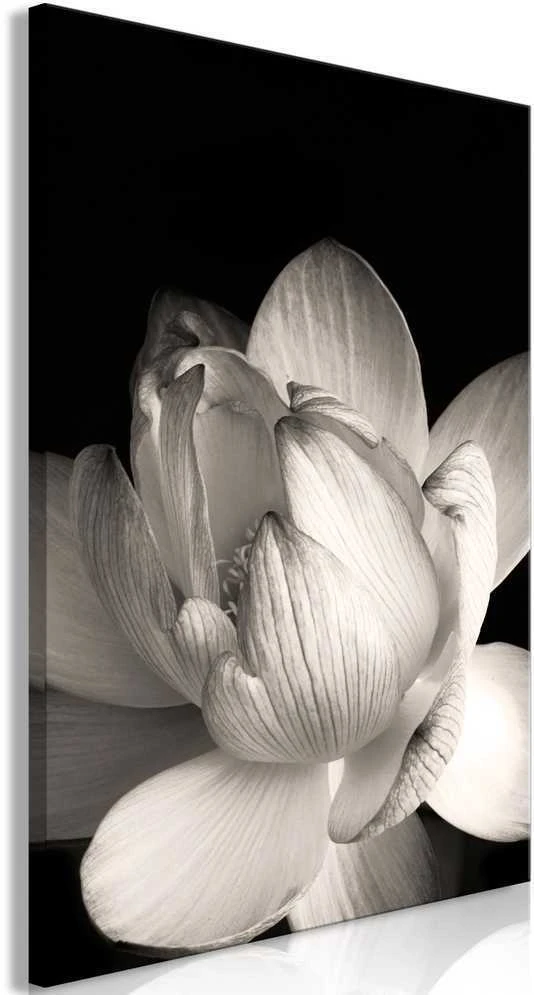 Artgeist Paveikslas - Delicacy of Petals in Nature (1-part) - Flower in Juodas and Baltas