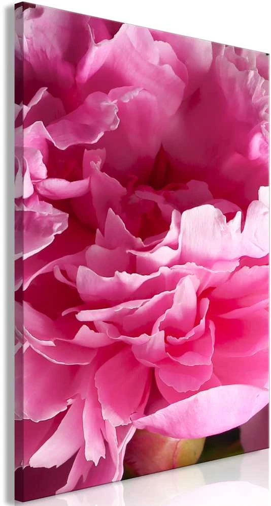 Artgeist Paveikslas - Blossom of Beauty (1-part) - Rožinė Peony Flower Embraced by Nature