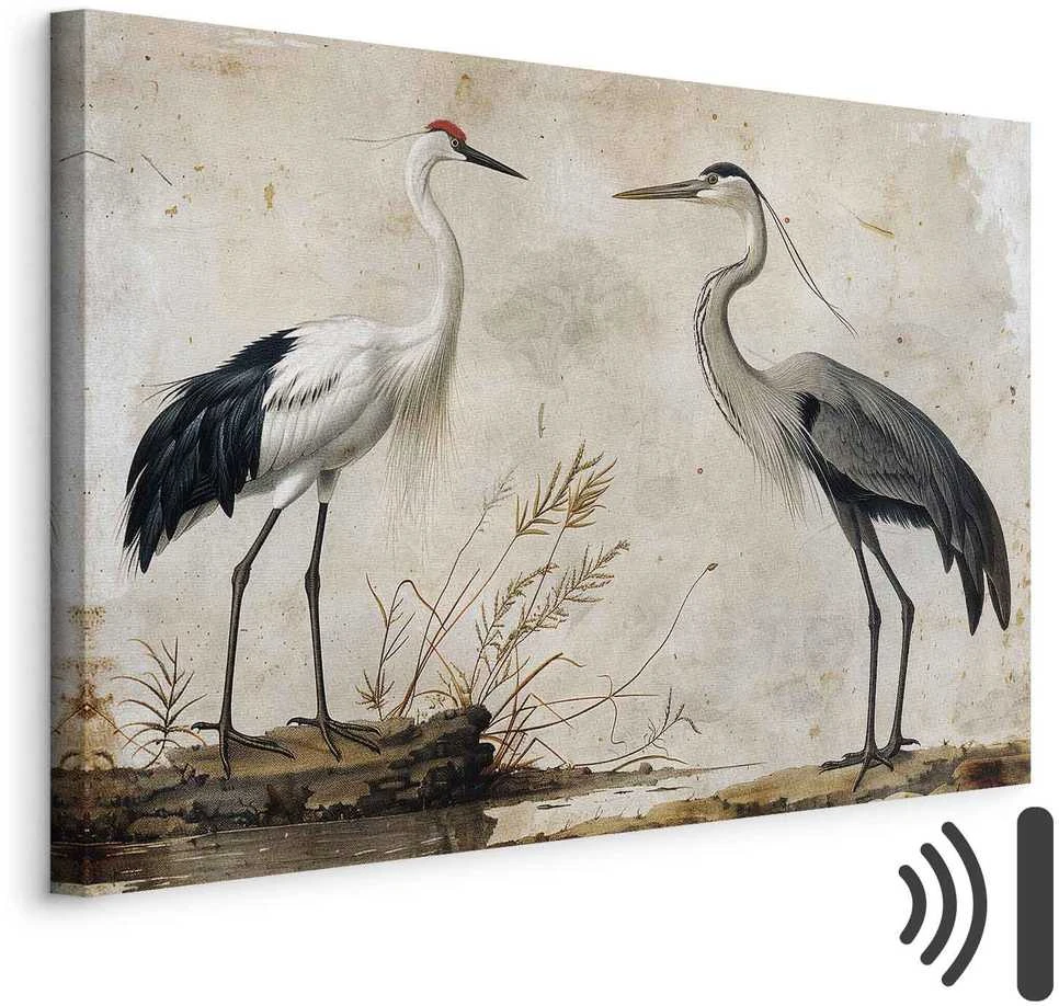 Artgeist Paveikslas - Birds from an old engraving - vintage-style illustration depicting a heron and a crane
