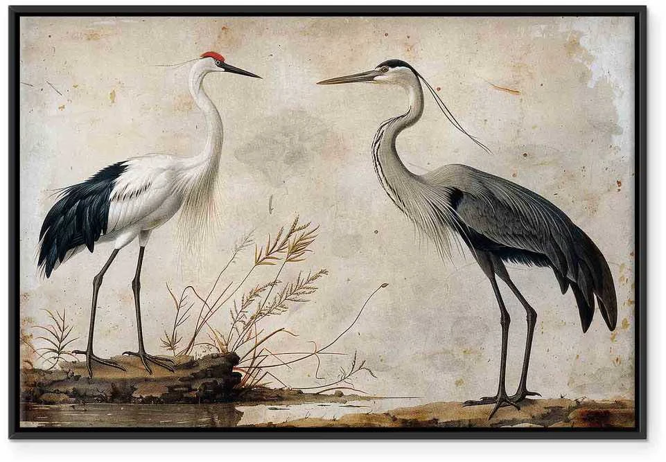 Artgeist Paveikslas - Birds from an old engraving - vintage-style illustration depicting a heron and a crane