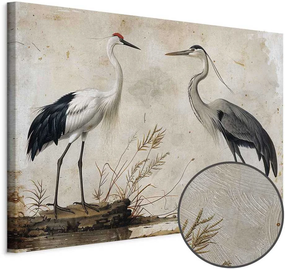 Artgeist Paveikslas - Birds from an old engraving - vintage-style illustration depicting a heron and a crane