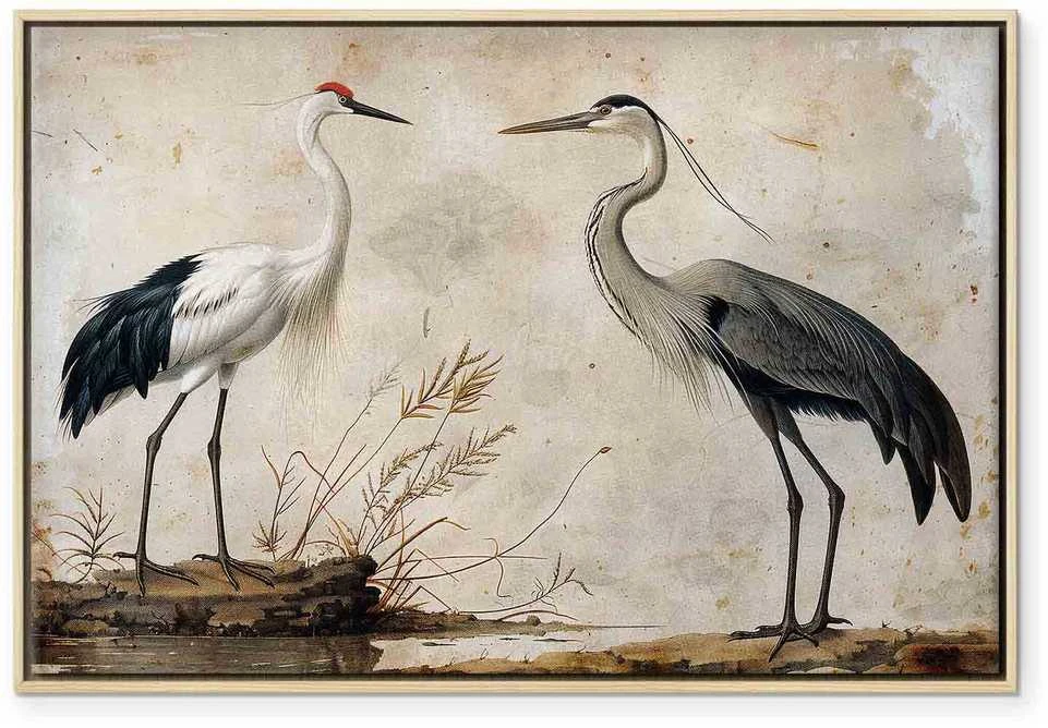 Artgeist Paveikslas - Birds from an old engraving - vintage-style illustration depicting a heron and a crane