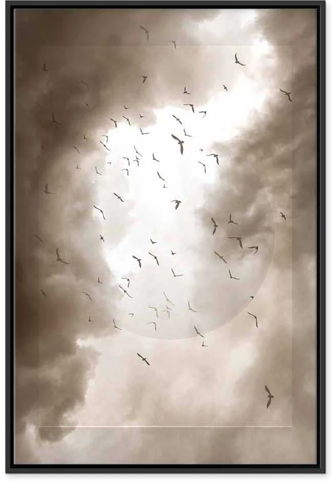 Artgeist Paveikslas - Birds in the Clouds (1 Part) Vertical