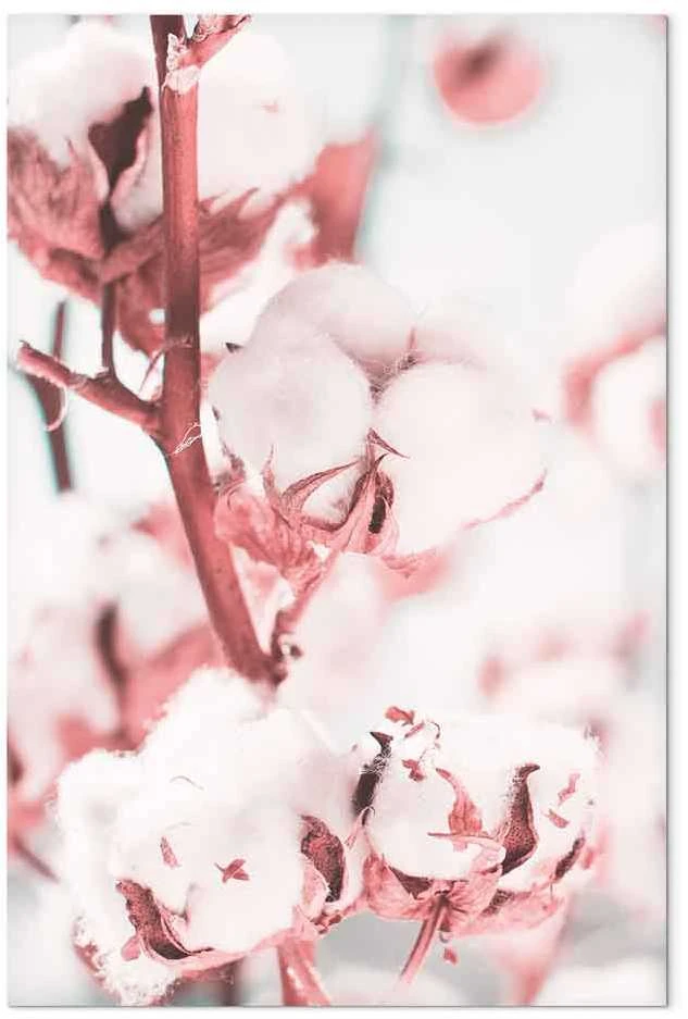 Artgeist Paveikslas - Blooming Cotton (1 Part) Vertical