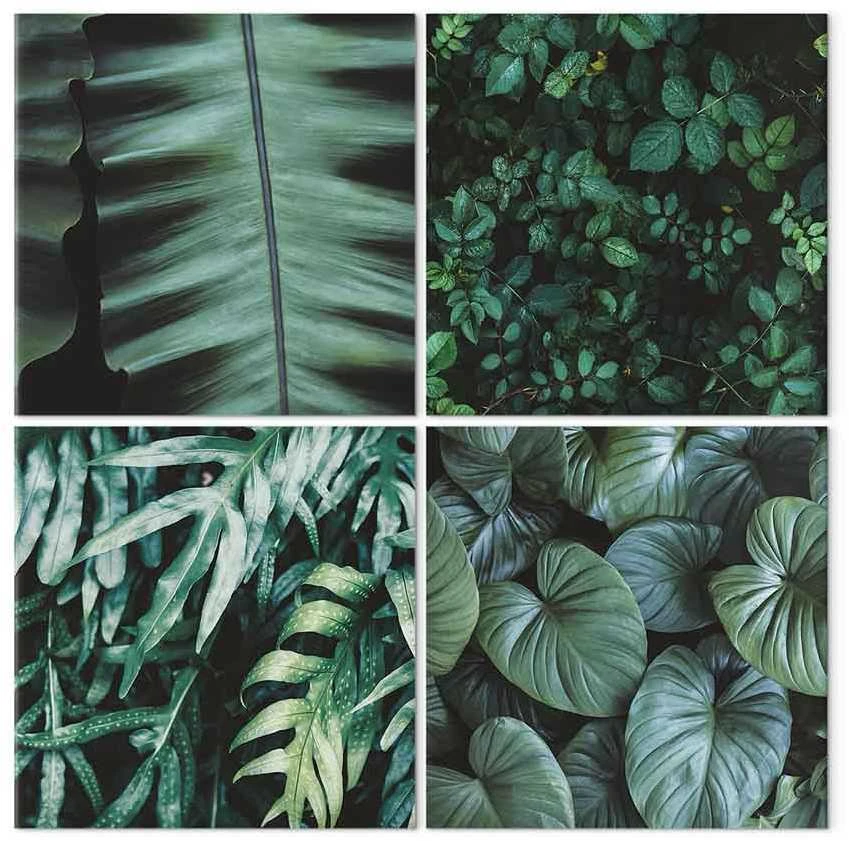 Artgeist Paveikslas - Botanical Gylis (4 Parts)