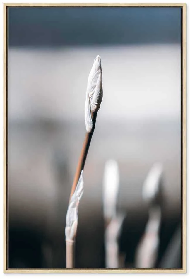 Artgeist Paveikslas - Botanical Minimalism (1 Part) Vertical