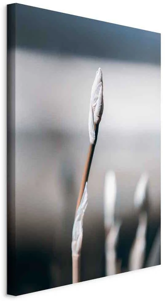 Artgeist Paveikslas - Botanical Minimalism (1 Part) Vertical