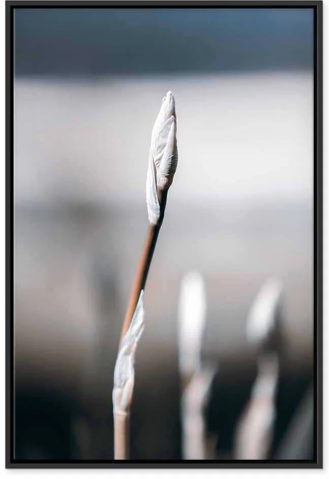 Artgeist Paveikslas - Botanical Minimalism (1 Part) Vertical