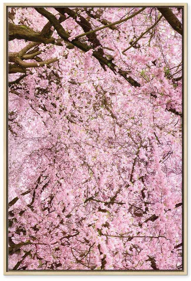 Artgeist Paveikslas - Cherry Tree (1 Part) Vertical