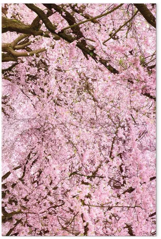Artgeist Paveikslas - Cherry Tree (1 Part) Vertical