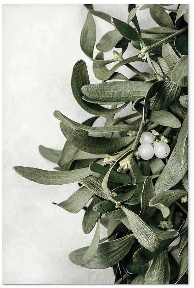Artgeist Paveikslas - Christmas Mistletoe (1 Part) Vertical