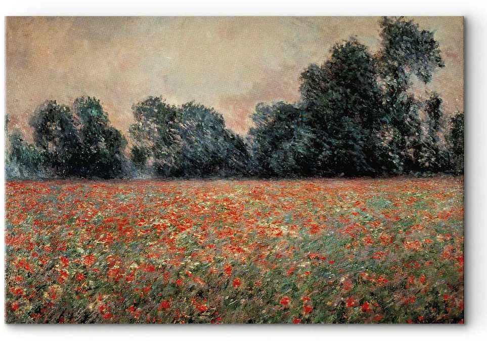 Artgeist Paveikslas - Claude Monet – Field with wild Poppies