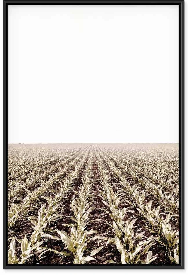 Artgeist Paveikslas - Corn Field (1 Part) Vertical