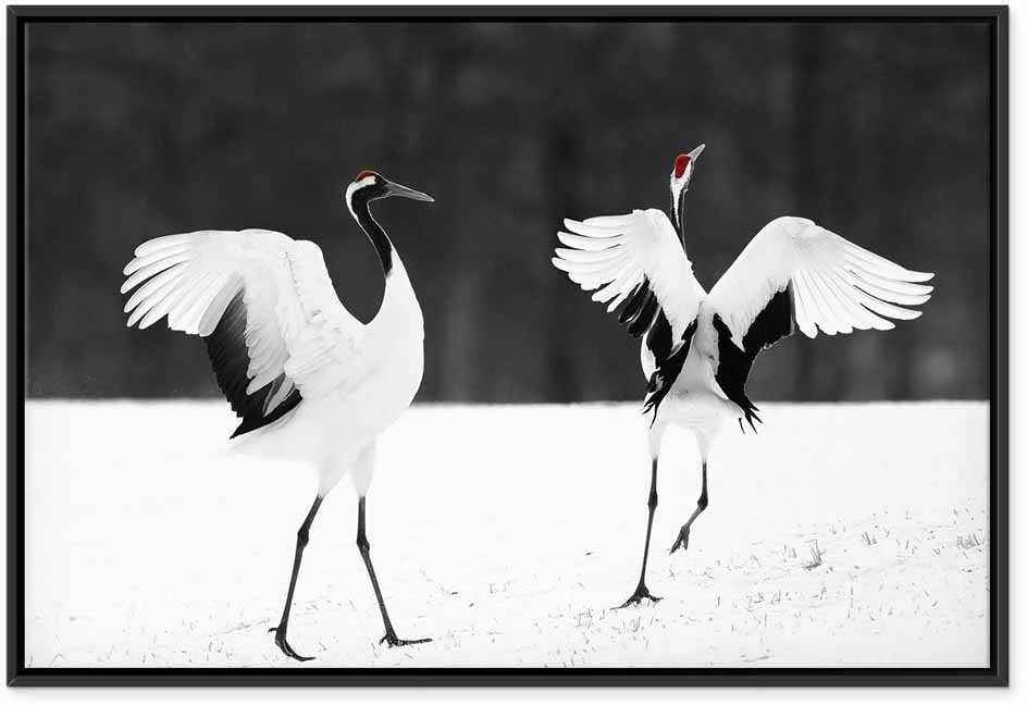 Artgeist Paveikslas - Dancing Cranes (1 Part) Wide