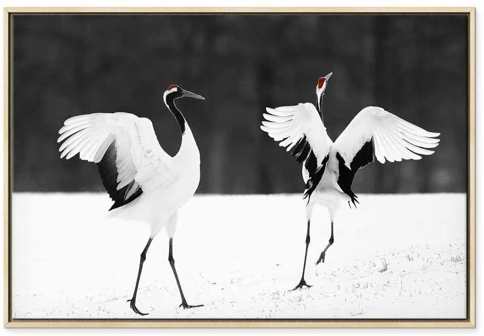 Artgeist Paveikslas - Dancing Cranes (1 Part) Wide