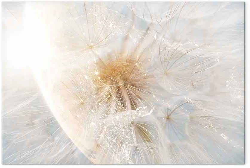 Artgeist Paveikslas - Dandelion in the Sun (1 Part) Wide