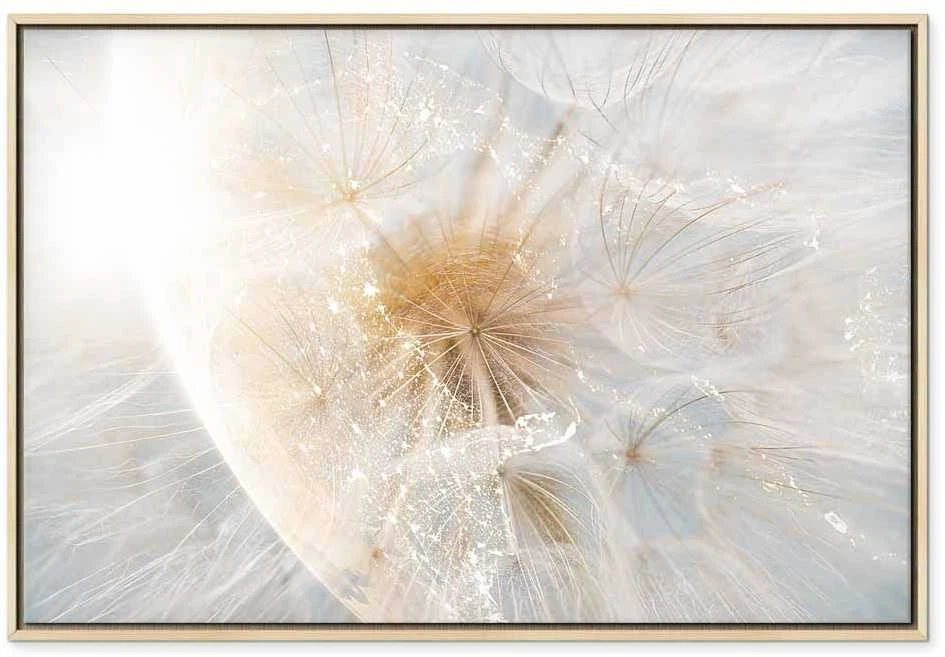 Artgeist Paveikslas - Dandelion in the Sun (1 Part) Wide