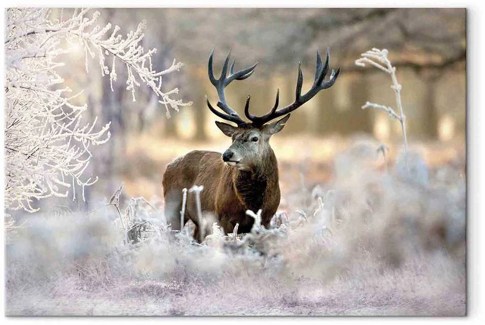 Artgeist Paveikslas - Deer in the Cold