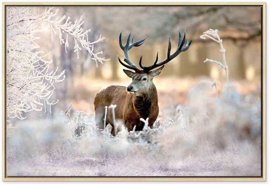 Artgeist Paveikslas - Deer in the Cold