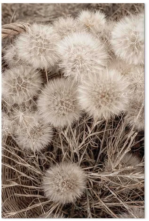 Artgeist Paveikslas - Delicate Bunch (1 Part) Vertical